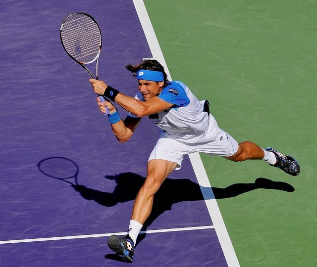 David Ferrer rallies to beat Steve Johnson at Erste Bank Open for 26th ATP title