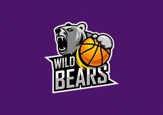 Lakers From The Outside: Assets and Liabilities