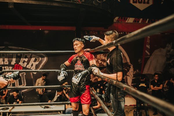 The 30 young boxers on the rise in 2015